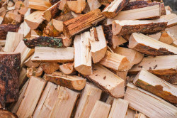 Bois de chauffage pour les professionnels