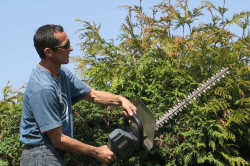 Travaux d'élagage pas chers